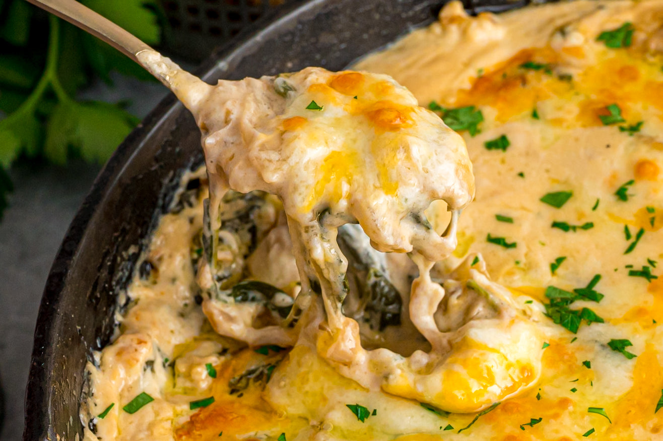 Caramelized Onion Dip